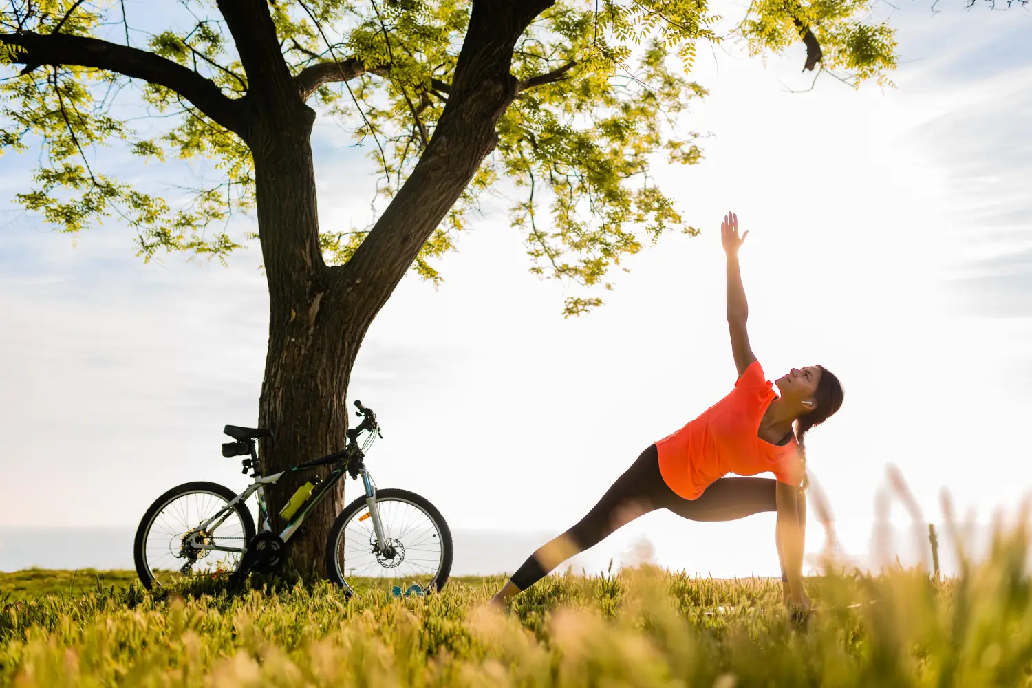slim-beautiful-woman-silhouette-doing-sports-morning-park-doing-yoga slim-beautiful-woman-silhouette-doing-sports-morning-park-doing-yoga